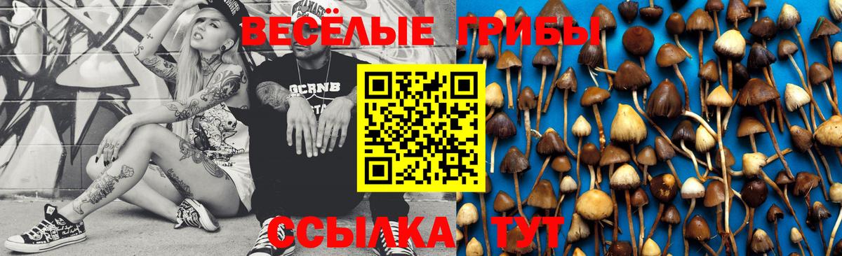 Галлюциногенные грибы Cubensis  Вход с VPN  Егорьевск 