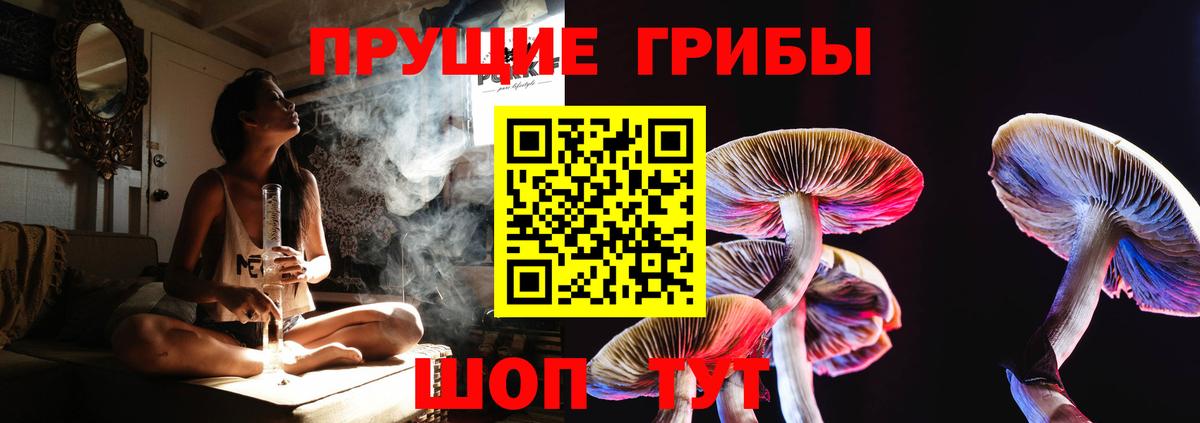 Галлюциногенные грибы прущие грибы Егорьевск